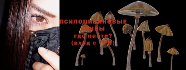 крисы Армянск